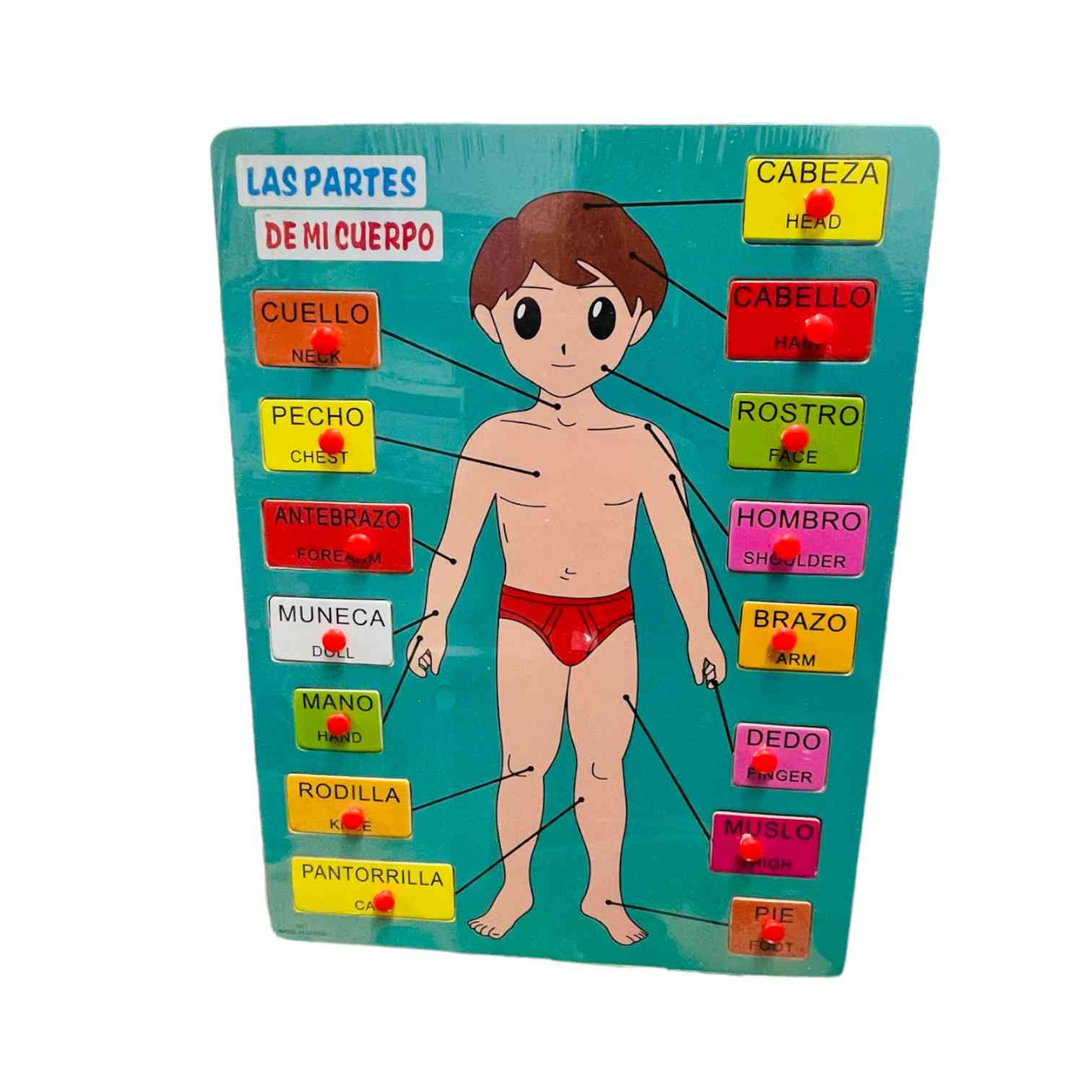 Tabla Cuerpo 