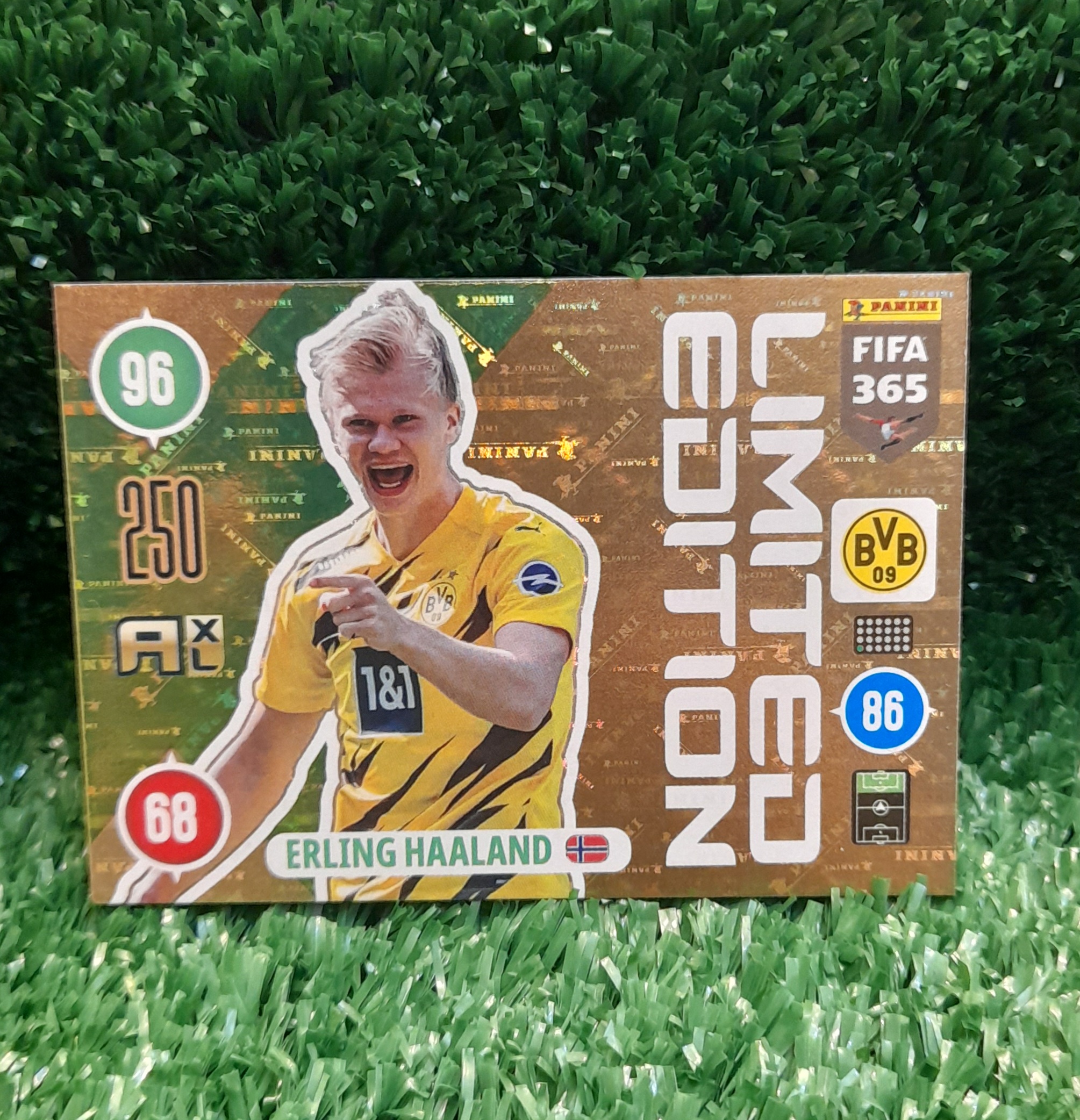Carta Erling Haaland Borussia Dortmund Limited Edition Panini