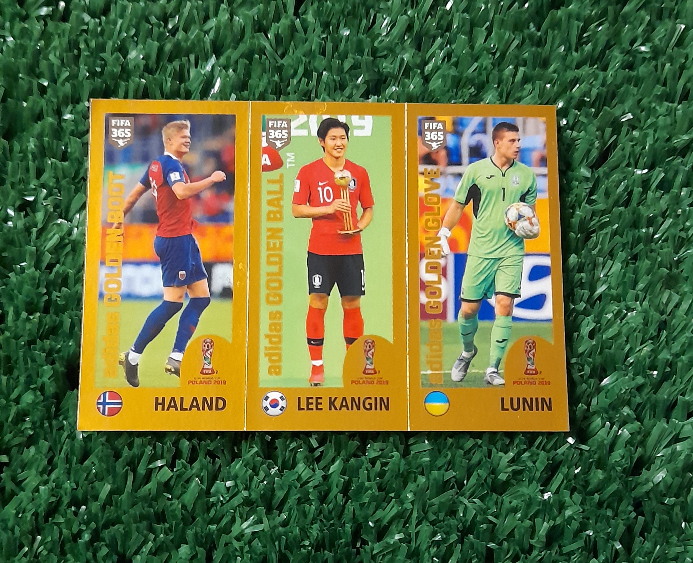 Lamina Erling Haaland ROOKIE Fifa 365 año 2020 Panini