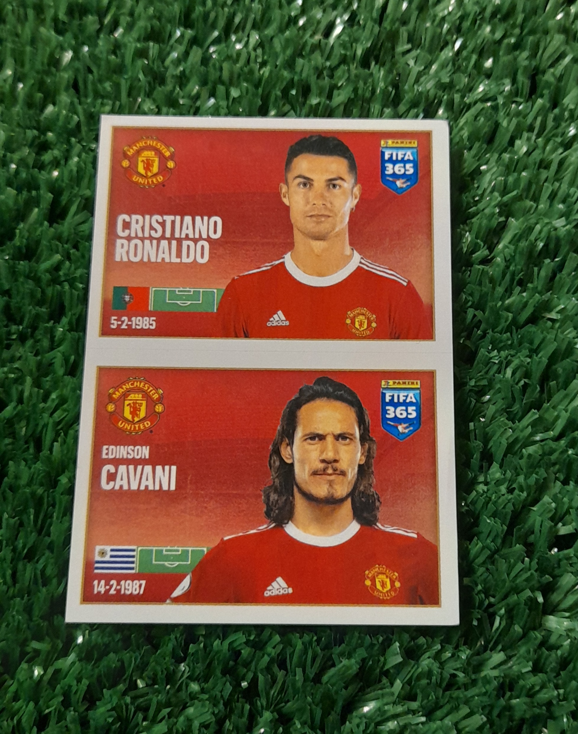 Lamina Cristiano Ronaldo Manchester United Fifa 365 #86 Panini