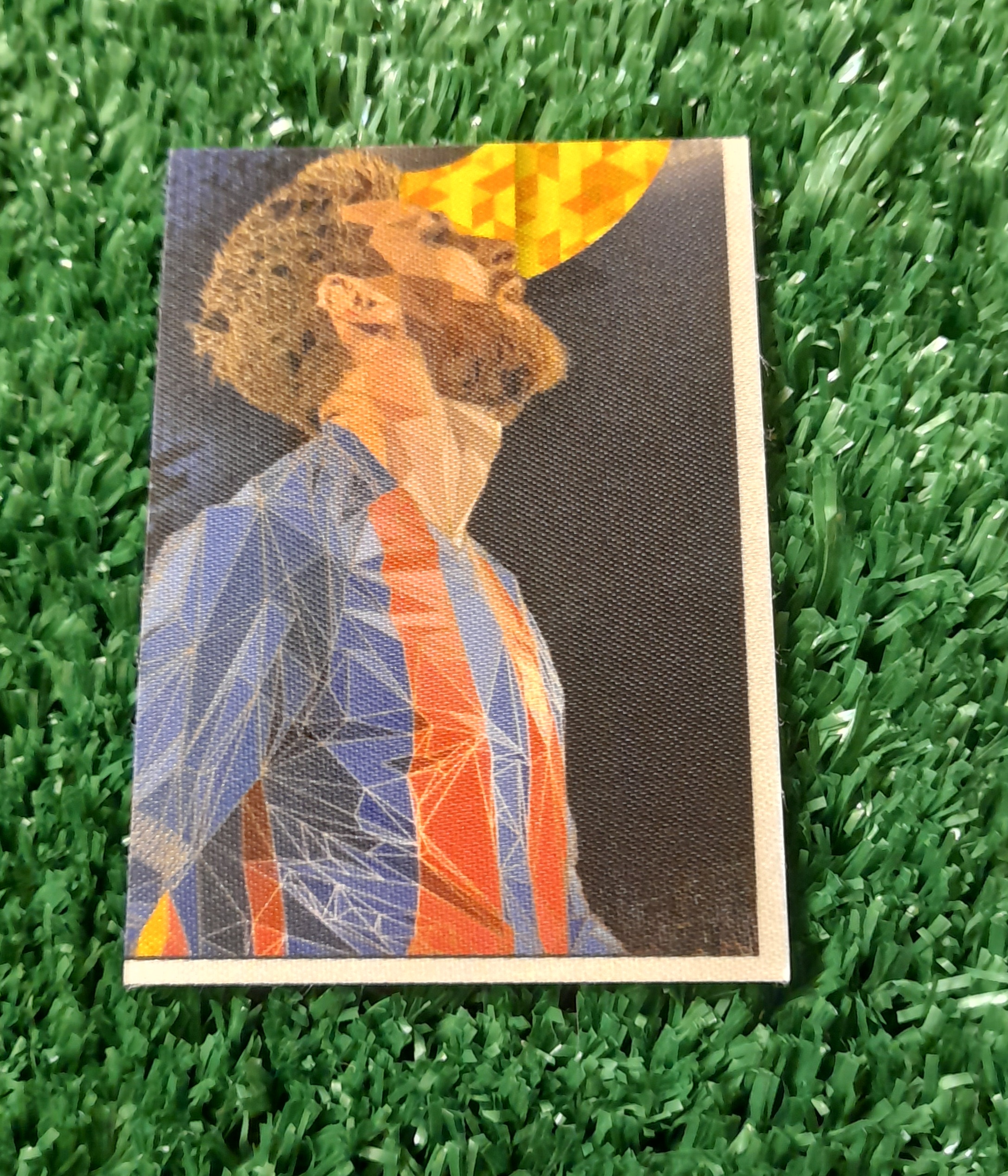 Lamina Lionel Messi Barcelona Fifa 365 Panini #7
