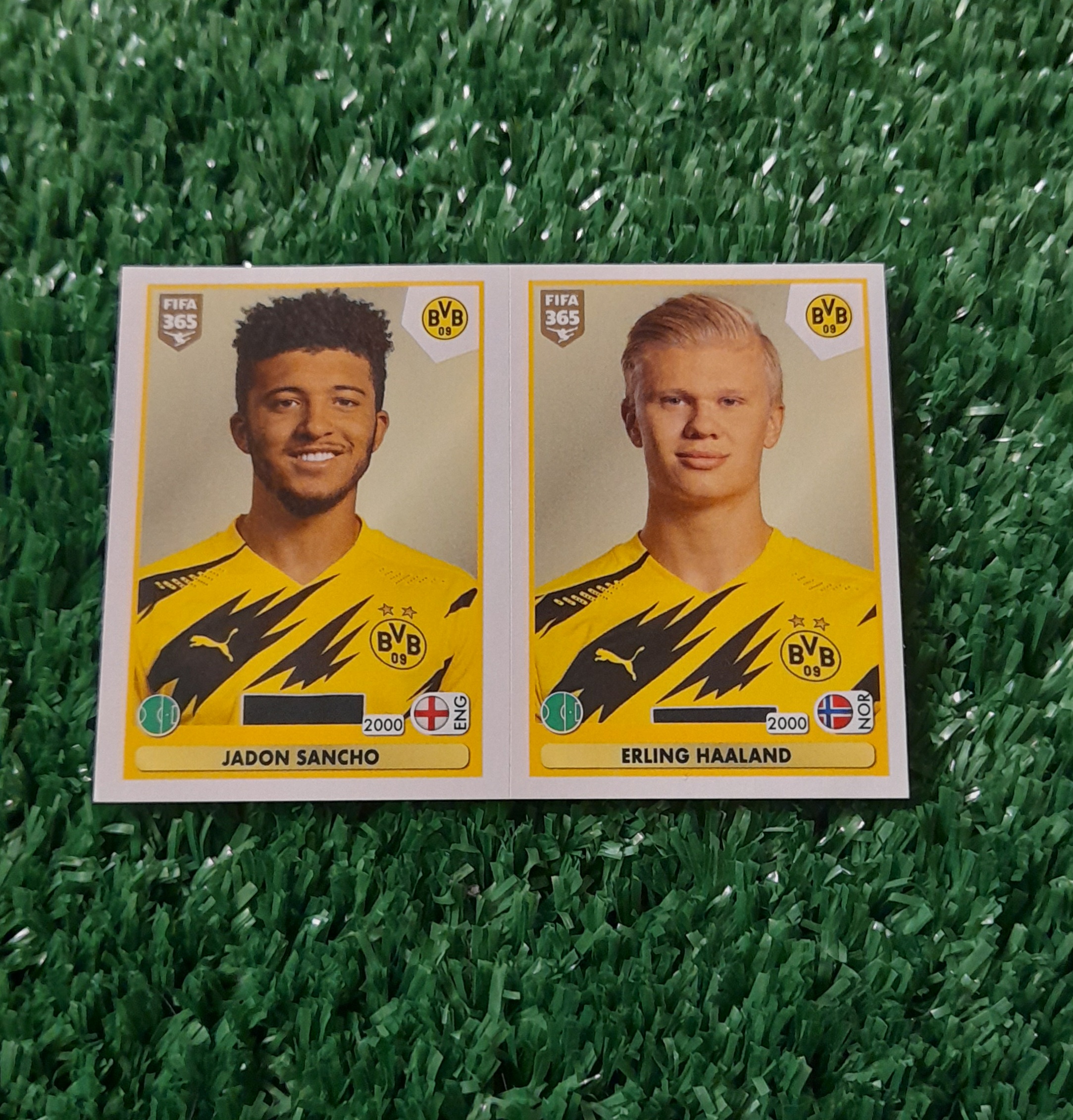Lamina Erling Haaland Borussia dortmund Fifa 365 Panini #181