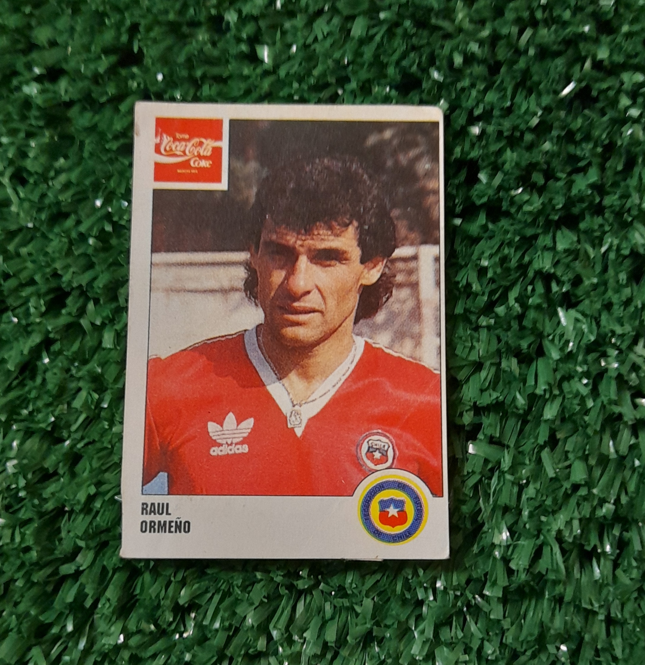 Lamina Raul Ormeño Chile Copa America 1991 Panini #136