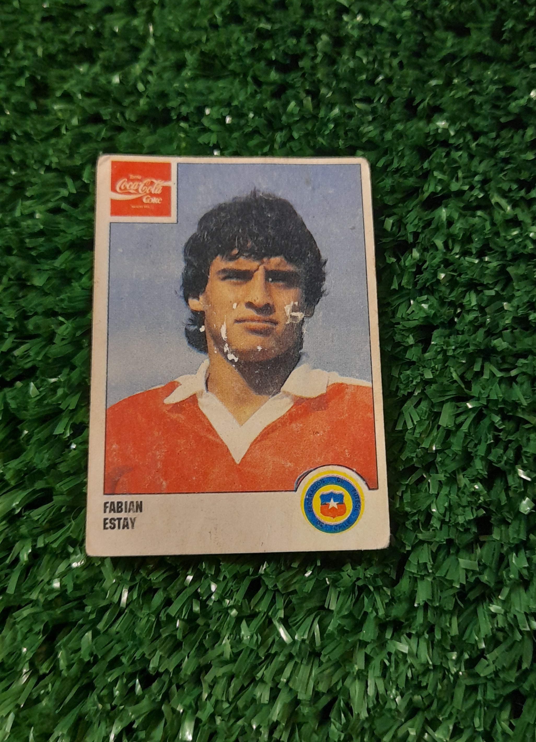 Lamina Fabian Estay Chile Copa America 1991 Panini #134