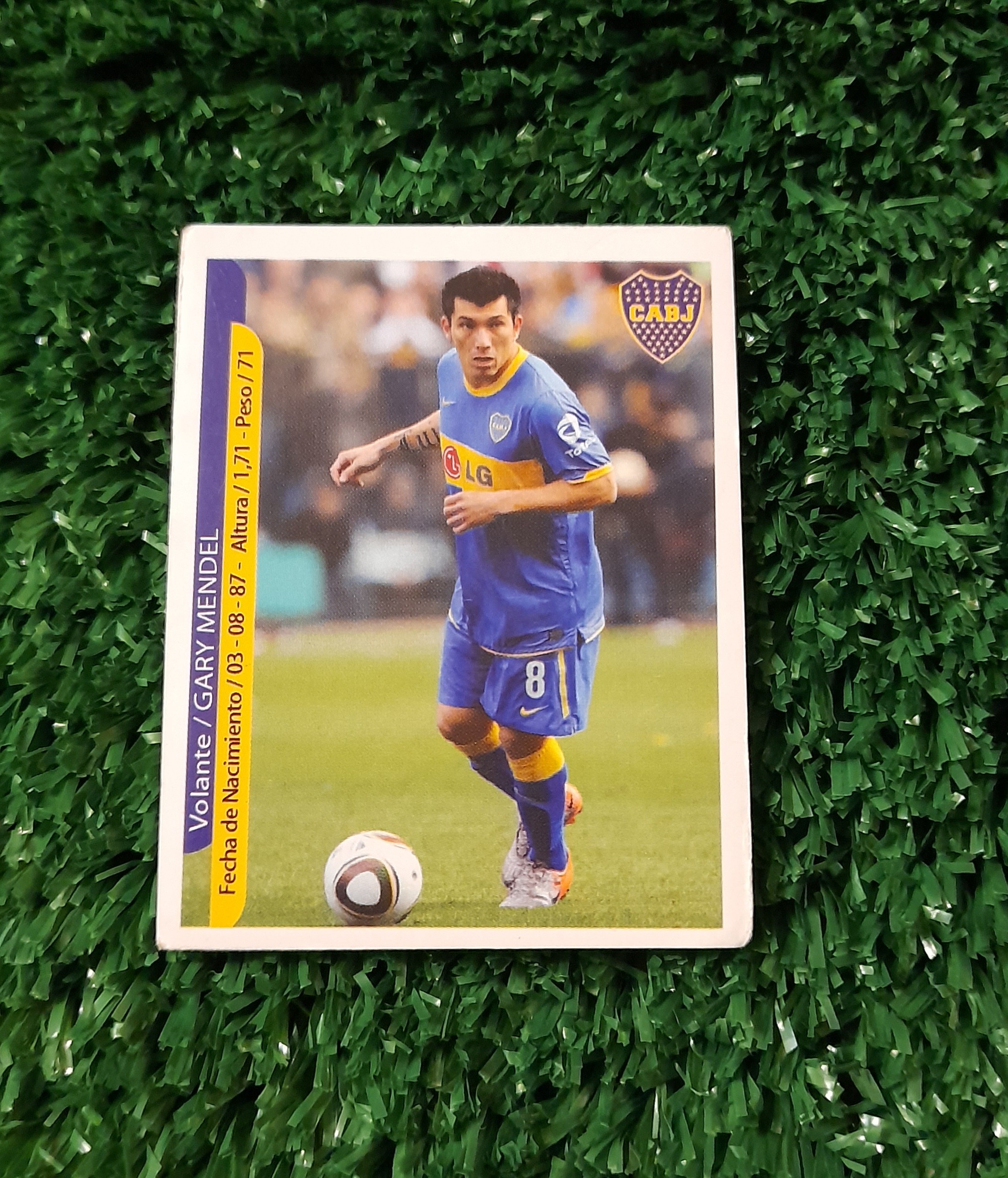 Lamina Gary Medel Boca Juniors Futbol Argentino 2010 Panini #60