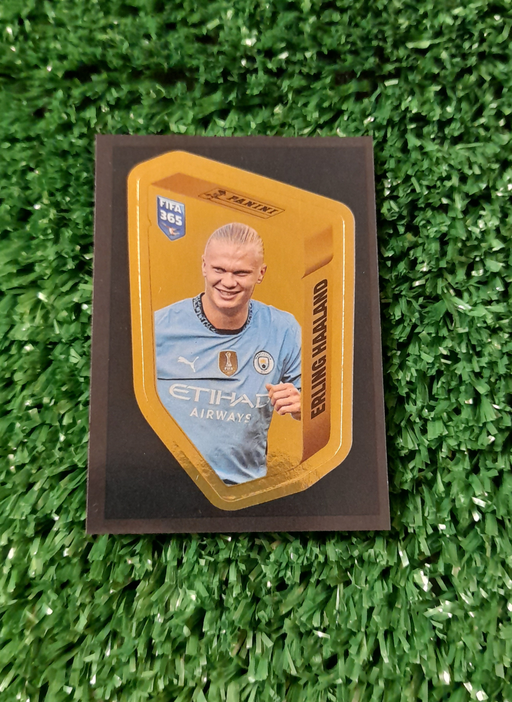 Lamina Erling Haaland Manchester City Fifa 365 2025 Panini #HAA