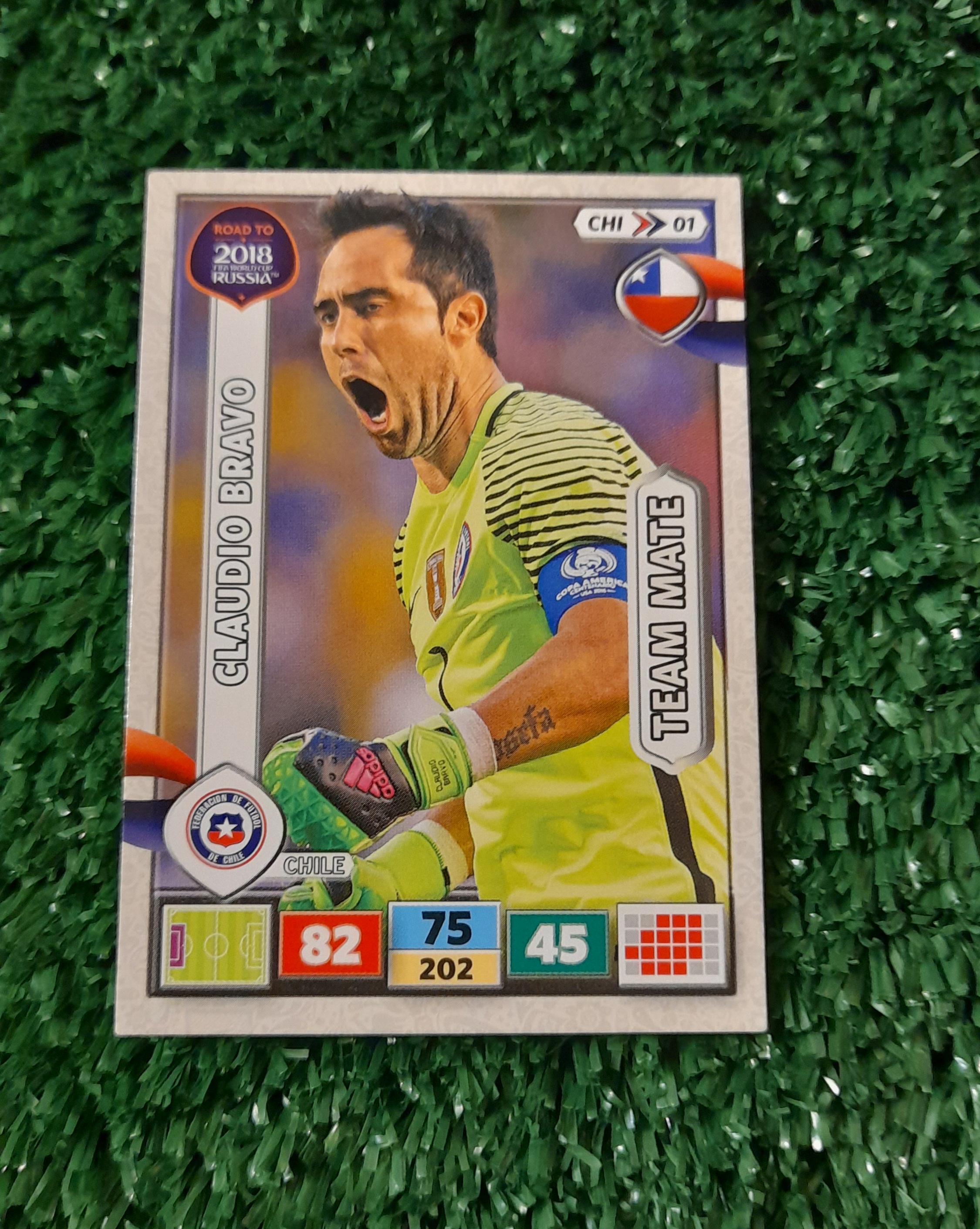 Carta Claudio Bravo Chile Road to Rusia Panini #CHI01