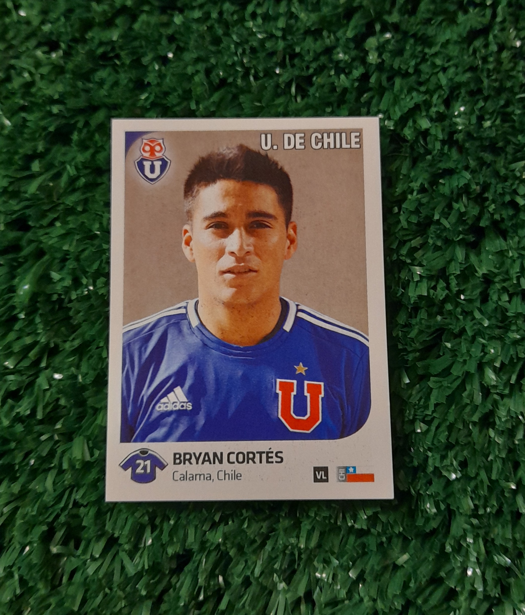 Lamina Brayan Cortes U de Chile Futbol Chileno 13-14 Panini #283