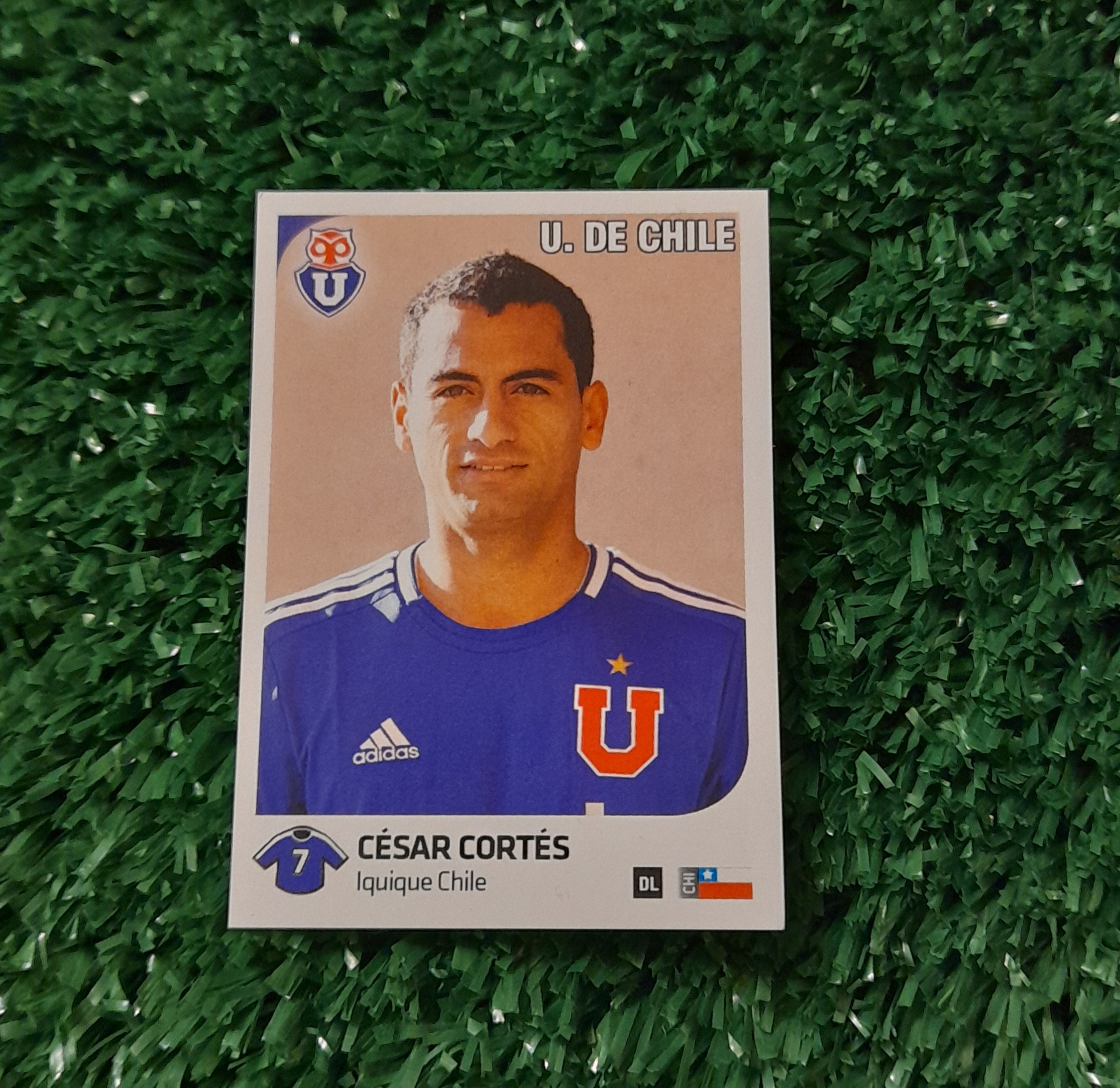 Lamina Cesar Cortes U de Chile Futbol Chileno 13-14 Panini #288