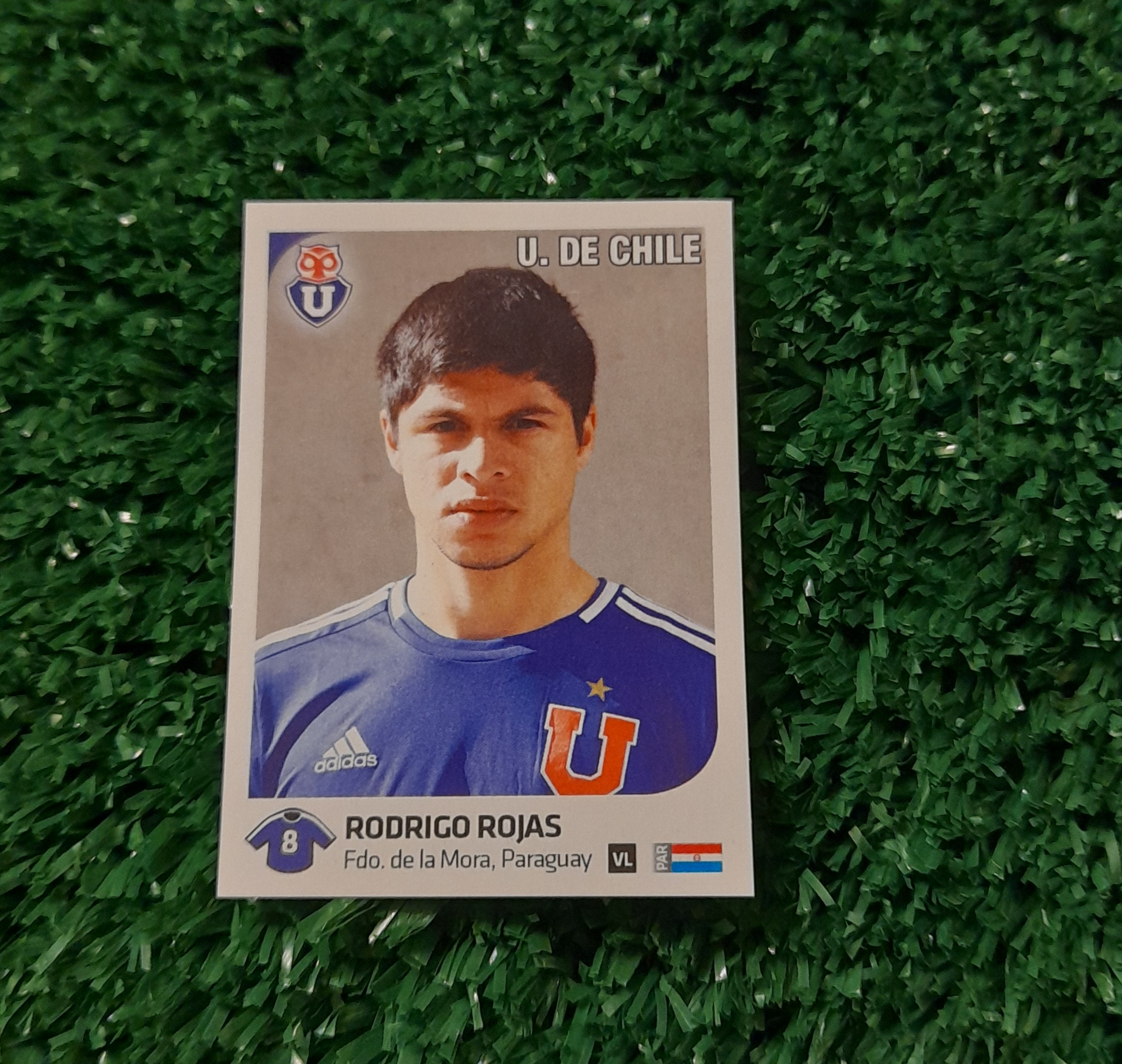 Lamina Rodrigo Rojas U de Chile Futbol Chileno 13-14 Panini #286