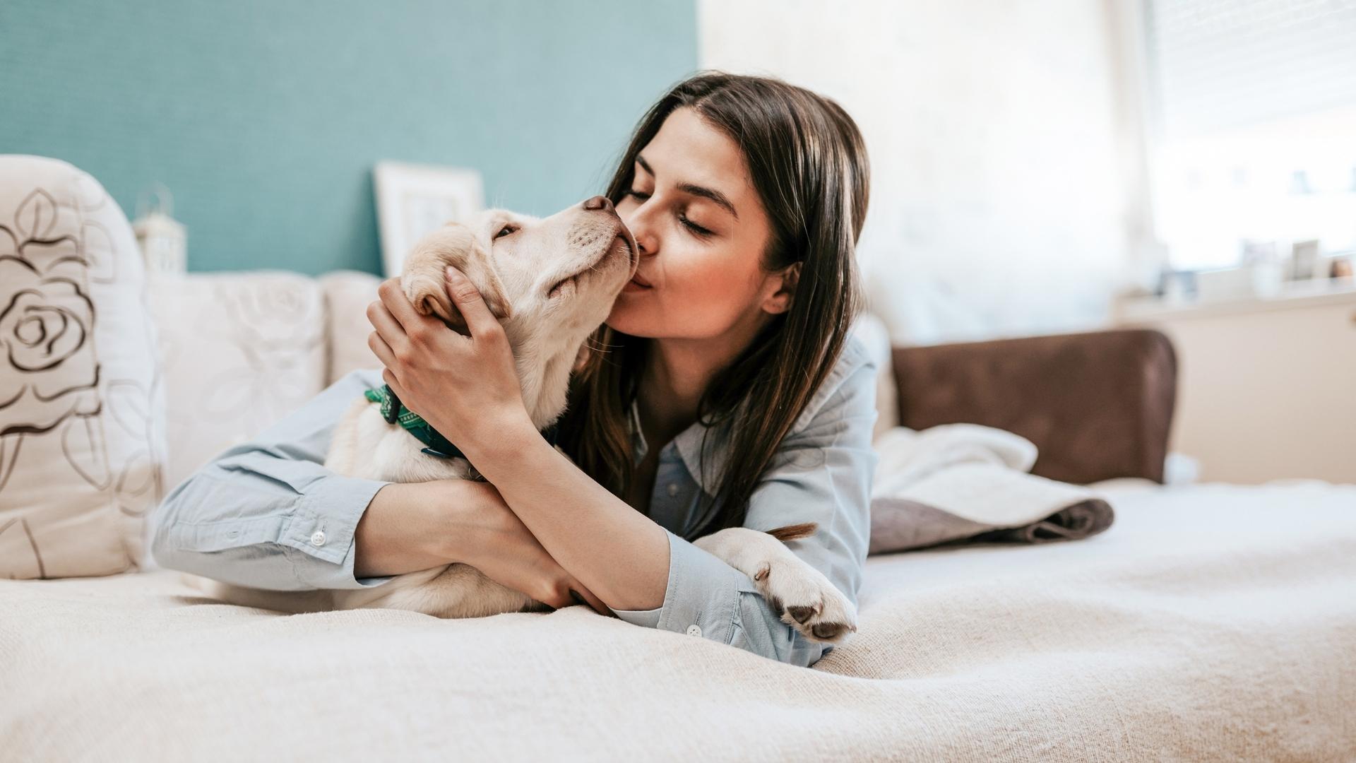 10 tips para proteger tu mascota