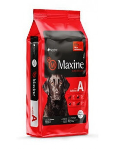 Maxine adulto 21kg