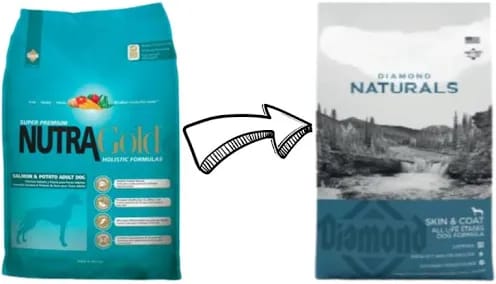 Nutragold Holistico Adulto Salmon 15 kg