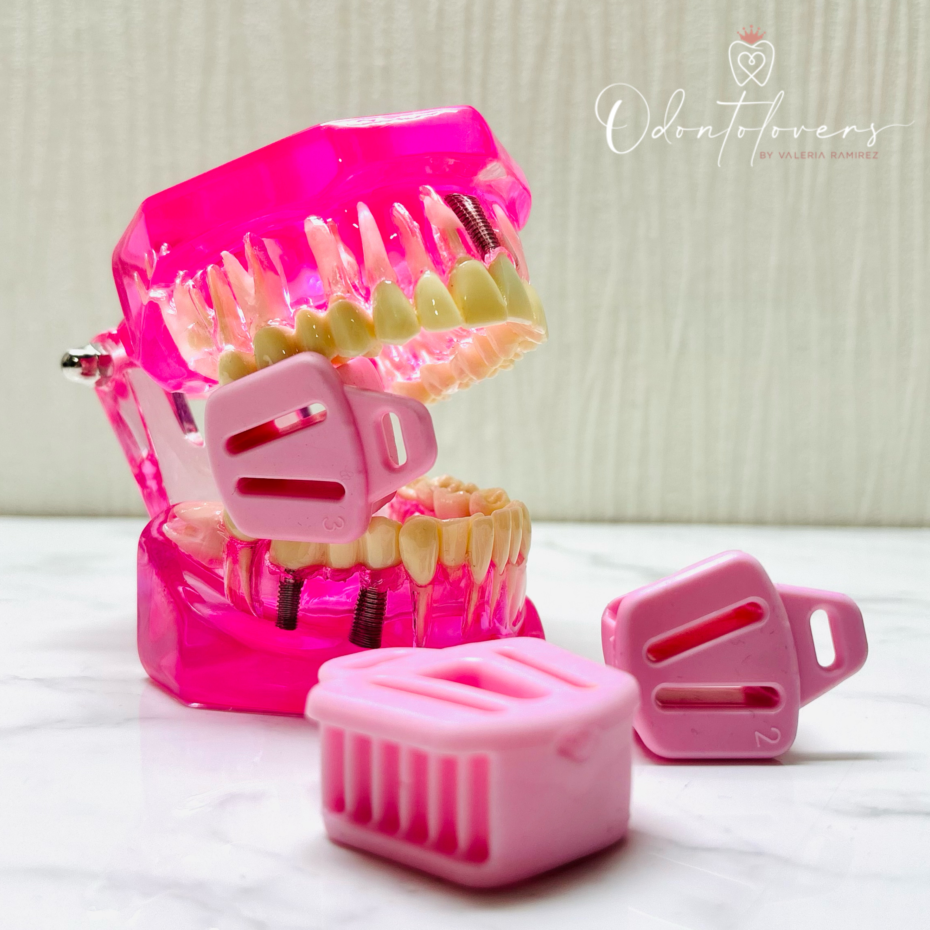 Set apoya mordida rosa pastel