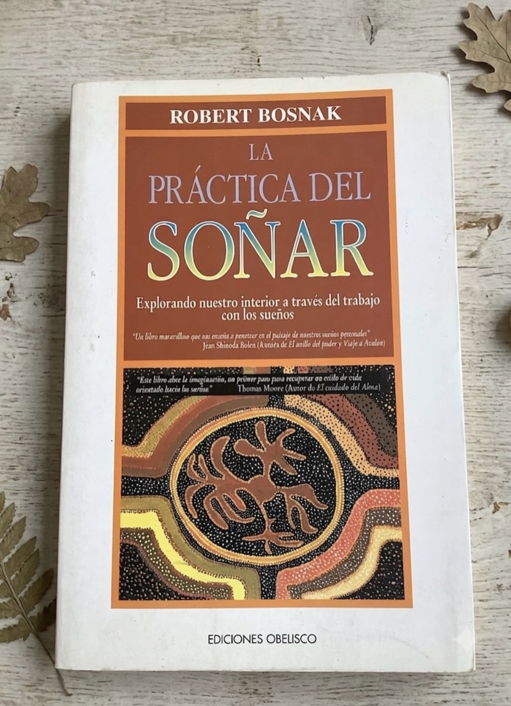 La práctica del soñar / Robert Bosnak
