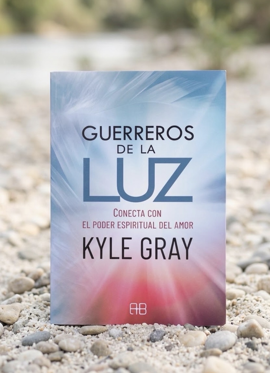 Guerreros de la luz / Kyle Gray