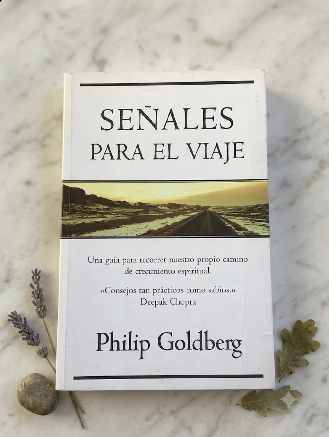 Señales para el viaje / Philip Goldberg