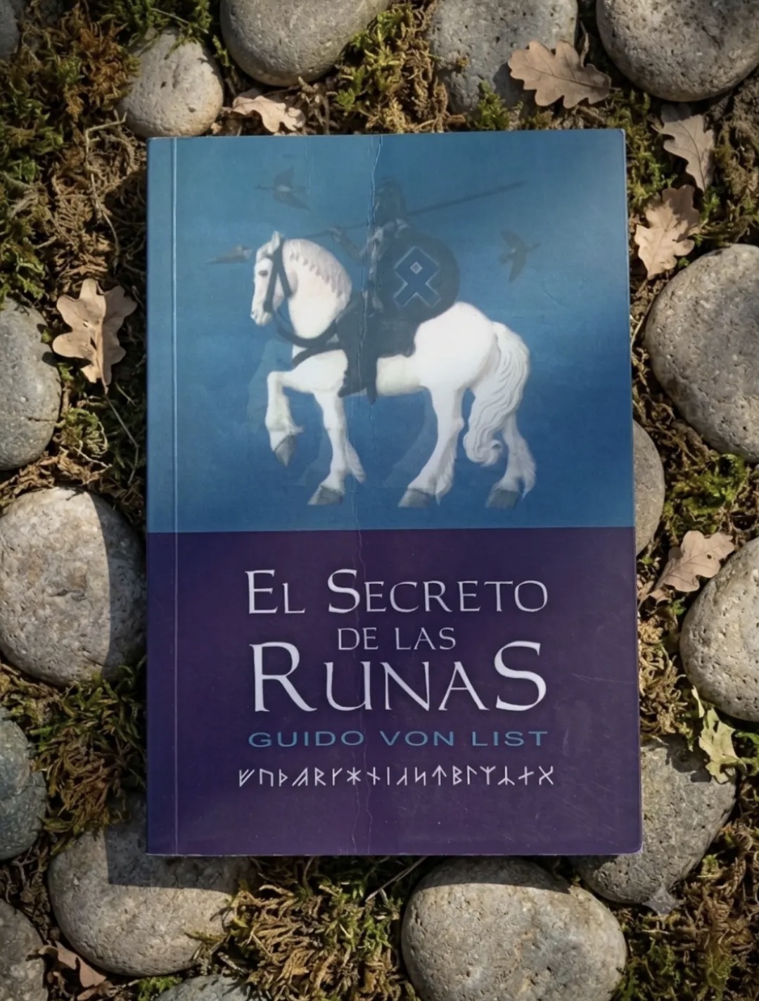 El secreto de las runas / Guido Von List