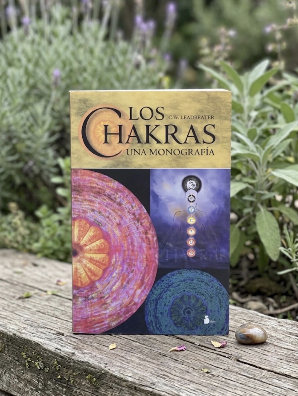 Los Chakras / C. W. Leadbeater