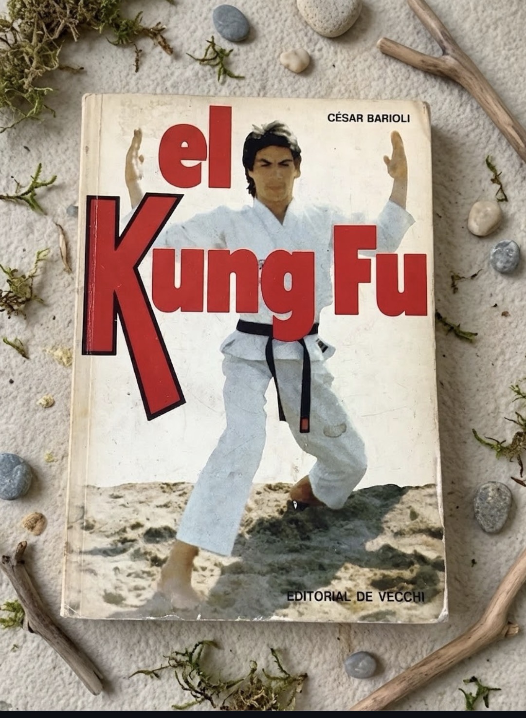 El Kung Fu / César Barioli