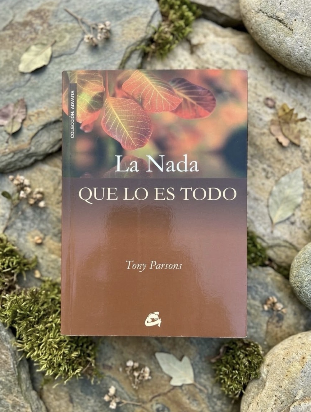 La nada que lo es todo / Tony Parsons