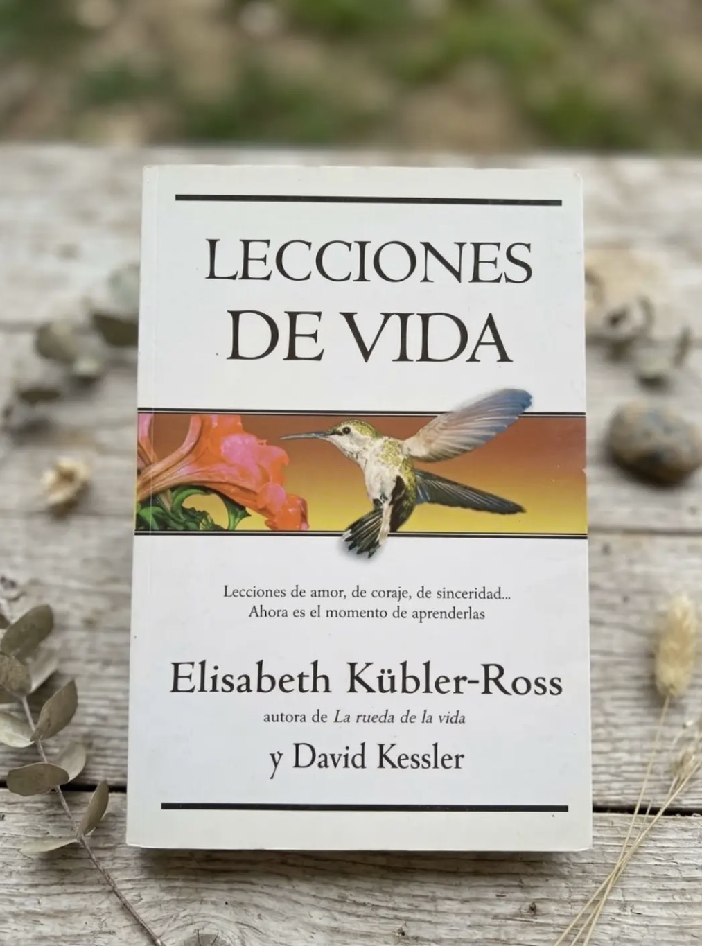 Lecciones de vida / Elizabeth Kubler-Ross y David Kessler