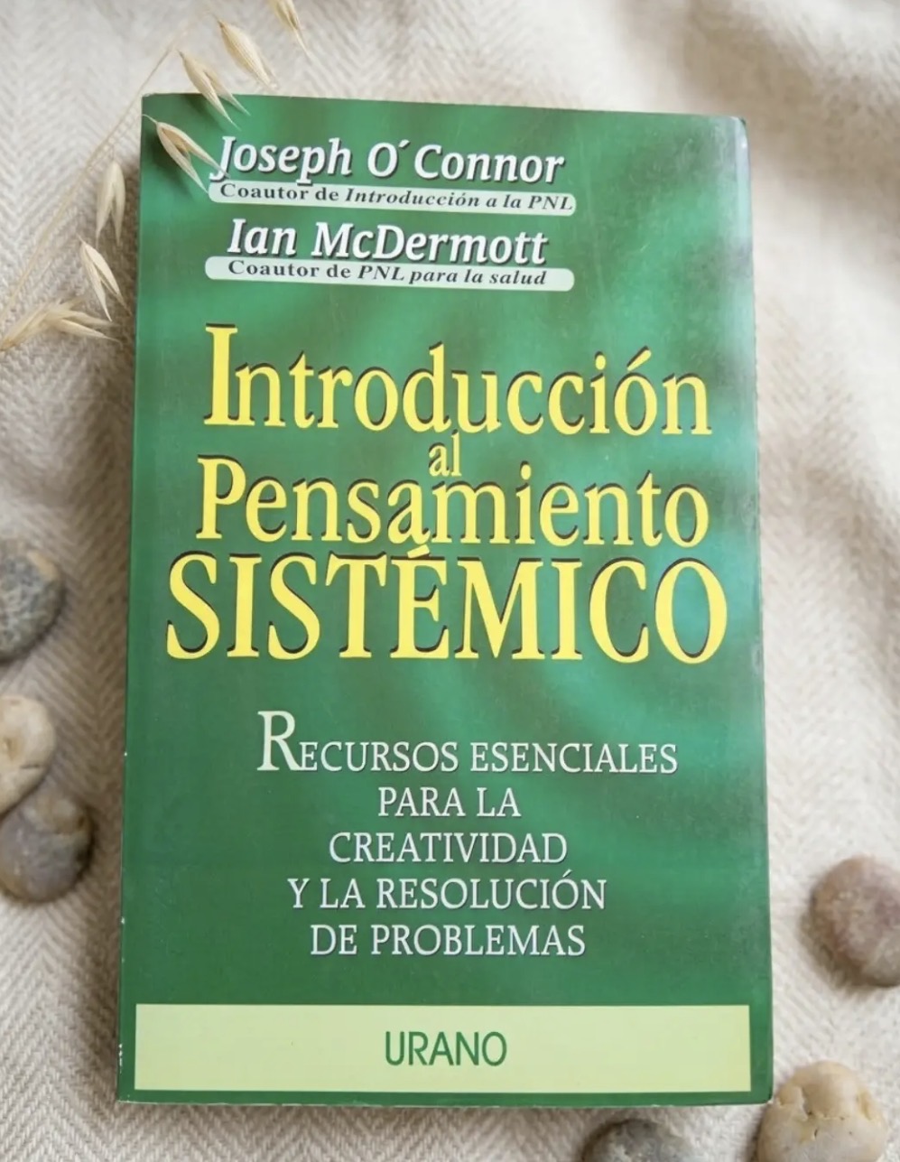 Introducción al pensamiento sistemático / Joseph O’Connor y Ian McDermott
