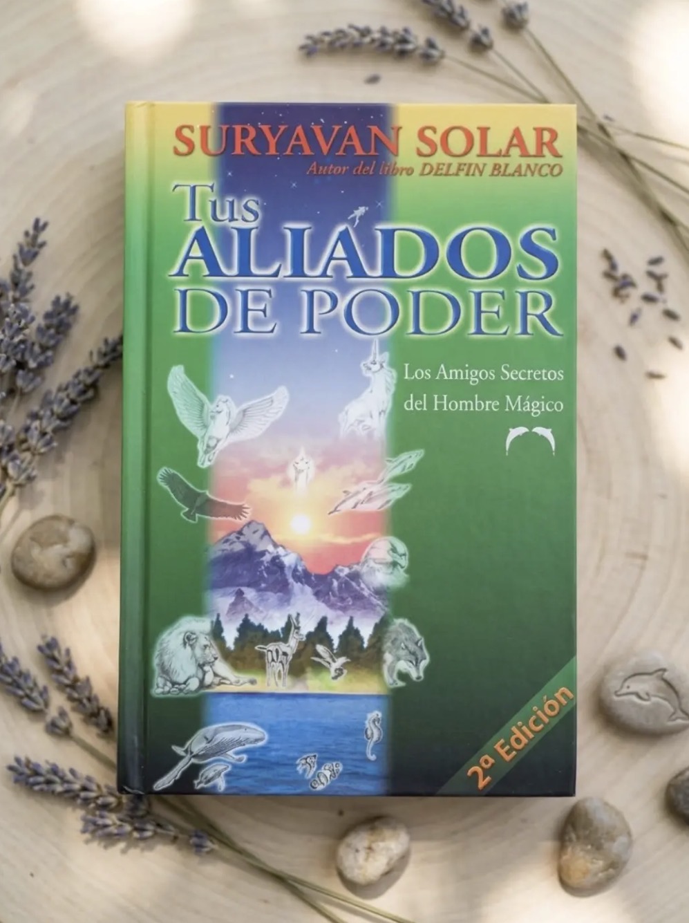  Tus aliados de poder / Suryavan Solar