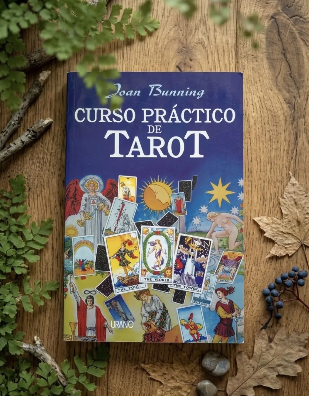 Curso práctico de tarot / Joan Bunning