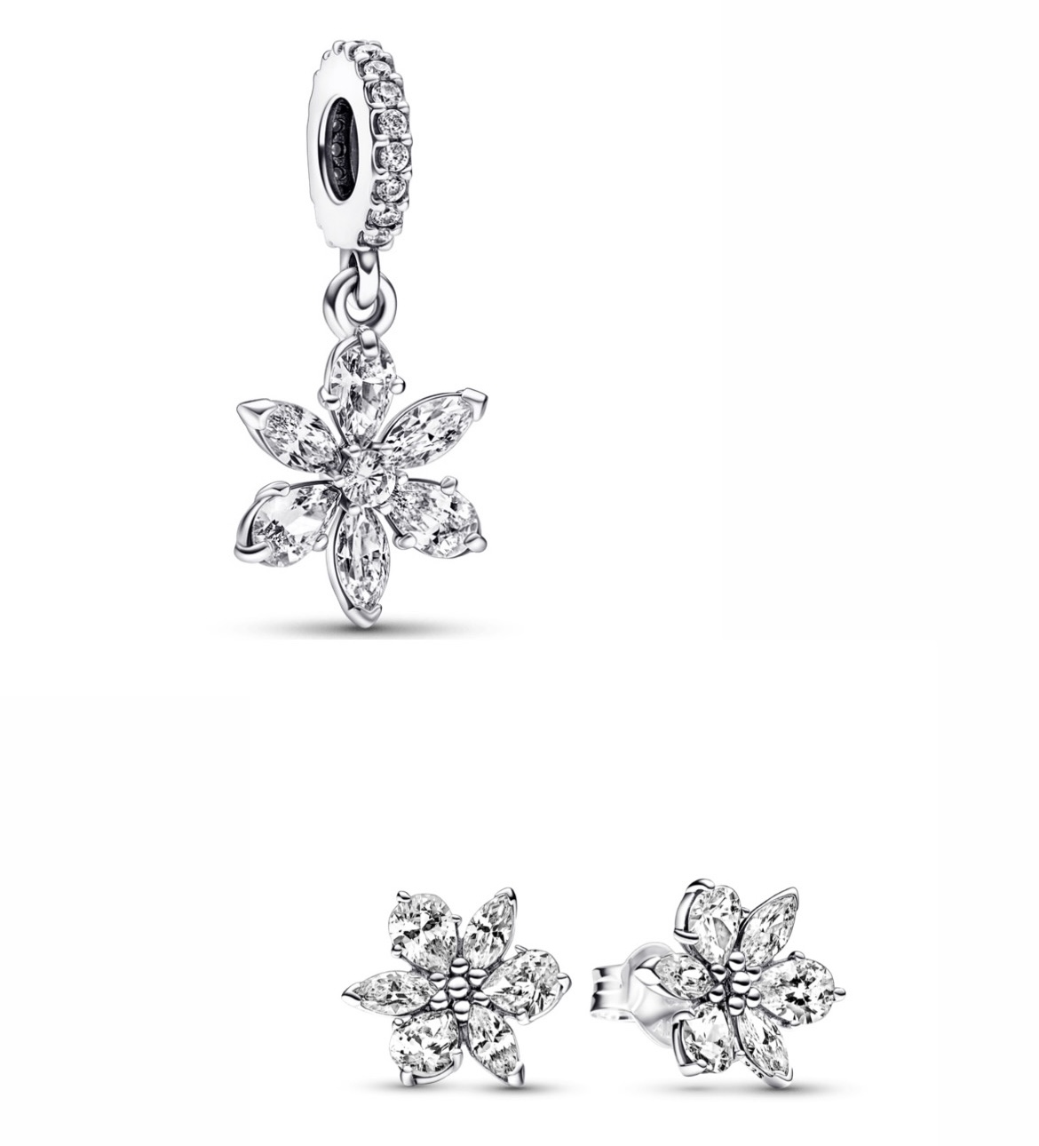 Bello Conjunto Racimo Herbario Pandora