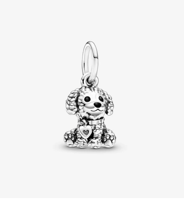 Charm perrito Poodle (Perro)
