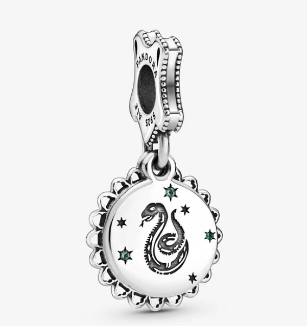 Charm Slytterin Harry Potter
