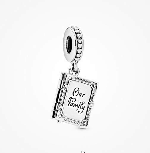 Charms Libro de la Familia