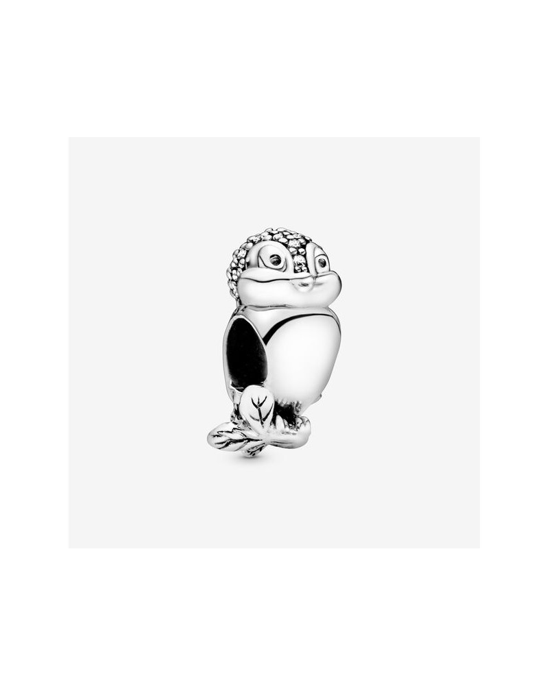 Charms Pajarito