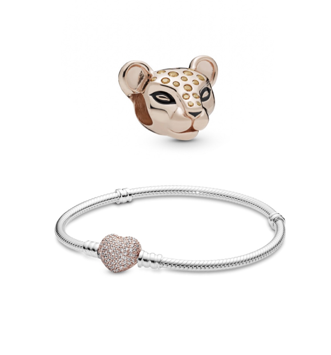 Conjunto Princesa Leona