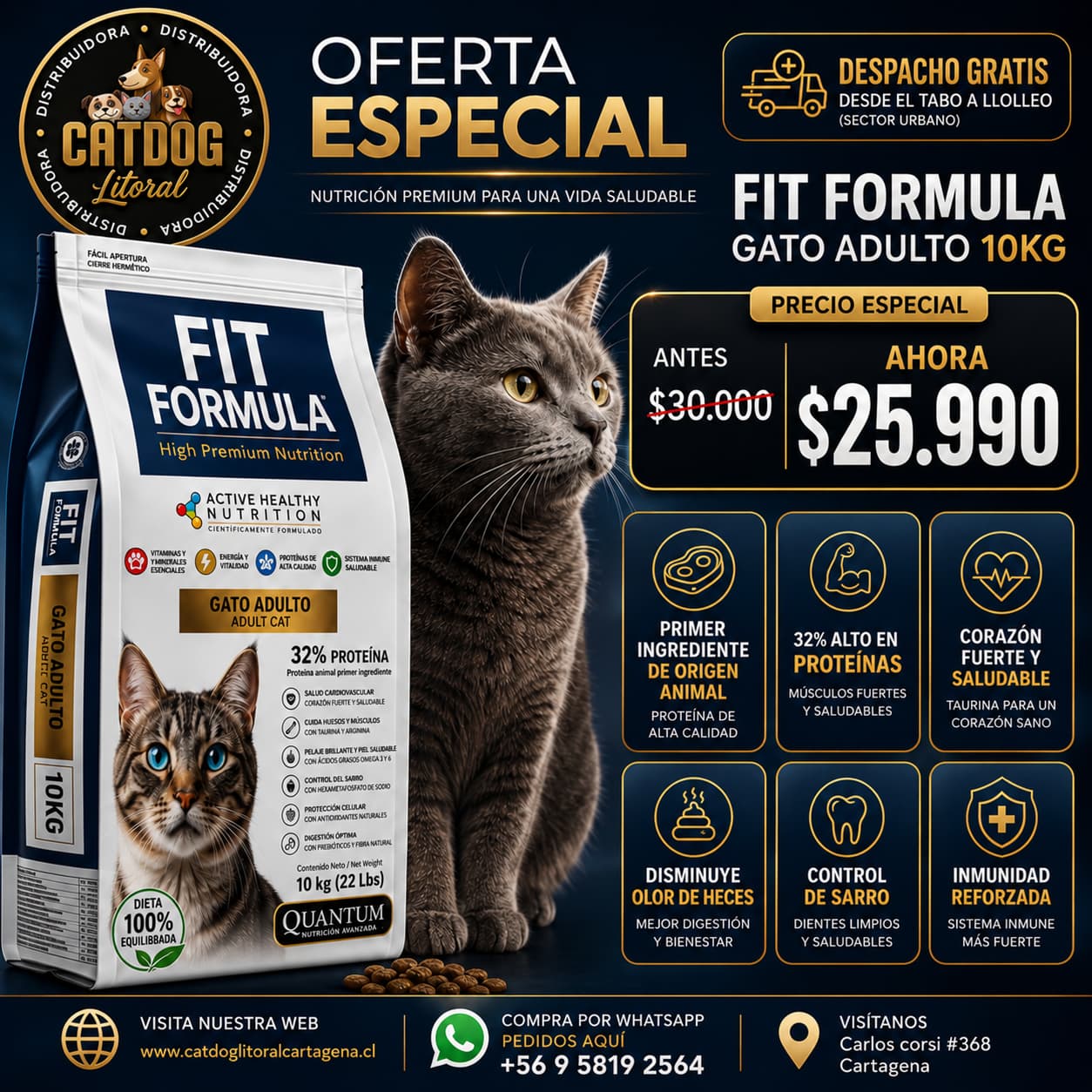FIT FORMULA GATO 10 KG 