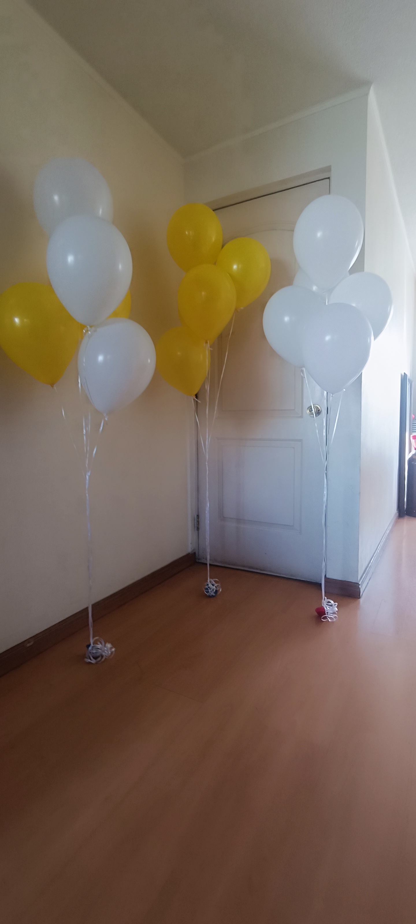 Globos Balloons y 260