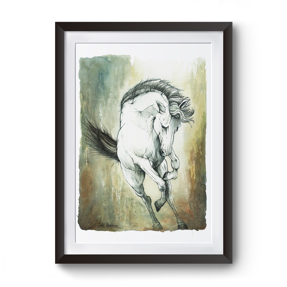 Caballo Salvaje