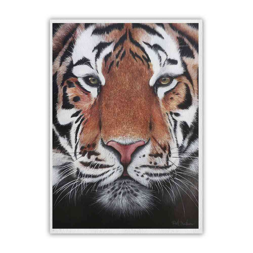 TIGRE -Canvas Print