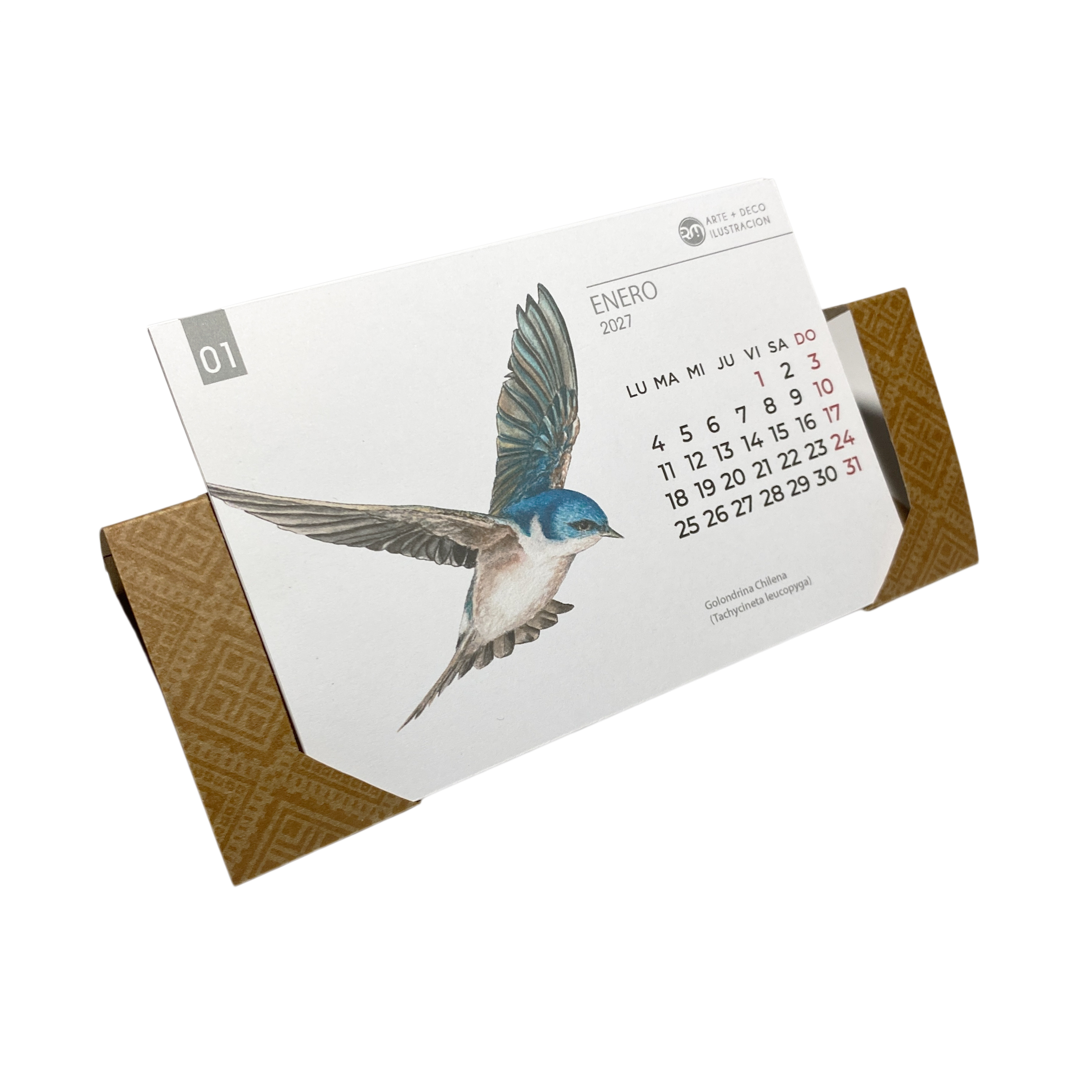 Calendario 2027 Aves de Chile.