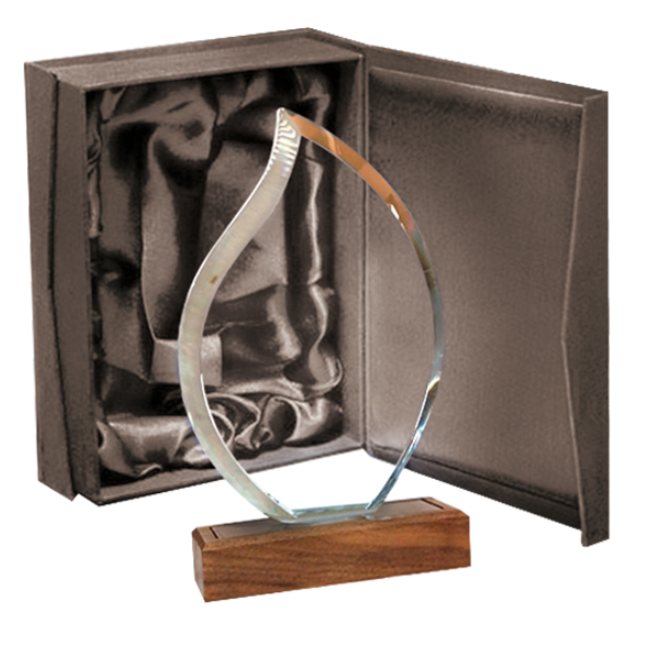 Galvano Cristal Base de Madera BLAS 55